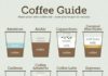 Food infographic – Coffee Guide Infographic. This coffee infographic presents you the full guide to…