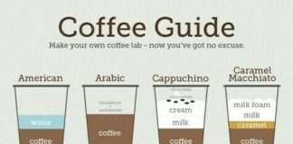 Food infographic – Coffee Guide Infographic. This coffee infographic presents you the full guide to…