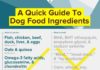 Food infographic – Finding the healthiest dog food brands is an essential part of being a pet paren…