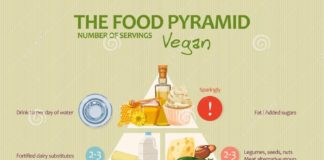 Food infographic – Food Pyramid Healthy Vegan Eating Infographic. Recommendations Of A Healthy Life…