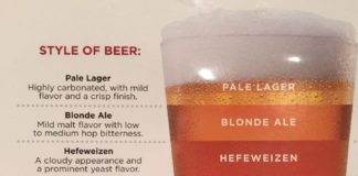 Food infographic – Infographics to Get You Through Everyday Life