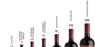 Food infographic – La taille et le nom des bouteilles de vin – La Feuille de Vigne