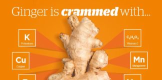 Food infographic – News