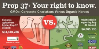 Food infographic – Why would a company with an organic food brand oppose Proposition 37?