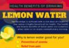Health infographic : 10 Exceptional Benefits Of Lemon Water on Health and Well Being