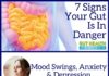 Health infographic : 7 Signs Your Gut Is In Danger