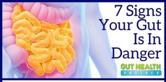 Health infographic : 7 Signs Your Gut Is In Danger