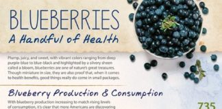 Health infographic : Blueberry Nutrition