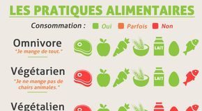 Health infographic : CARNIVORE, VEGETARIEN, VEGAN : MODE D’EMPLOI