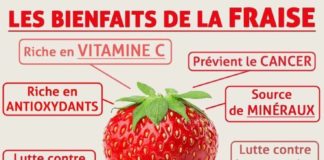 Health infographic : C’est la saison des fraises, et elle a de nombreux bienfaits, alors consomme