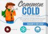 Health infographic : Common Cold Infographic