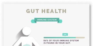 Health infographic : Gut Health