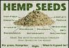 Health infographic : Hemp Hearts
