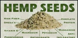 Health infographic : Hemp Hearts