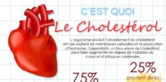 Food infographic – Comprendre le cholestérol et les maladies du coeur en infographie !