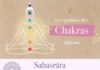 Health infographic : Infographie résumant les qualités des 7 chakras du corps humain.