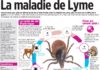 Health infographic : La maladie de Lyme