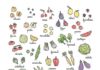 Health infographic : Le calendrier annuel des légumes de saison pour vous aider à faire vos courses