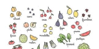 Health infographic : Le calendrier annuel des légumes de saison pour vous aider à faire vos courses