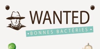 Health infographic : TOP 12 des probiotiques naturels