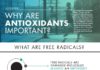 Health infographic : Why Are Antioxidants So Important?