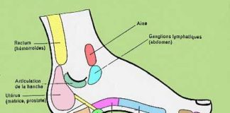 Health infographic : rflexologiedupied.jpg