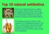 Healthcare infographic : Here Are 13 Of Most Powerful Natural Antibiotics! – Something Logical