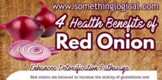 Healthcare infographic : Onions Could Protect Against Cancer – Something Logical
