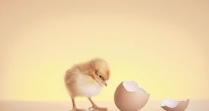 Marketing strategies : New to Inbound Marketing? 7 Common Mistakes You Can Easily Avoid