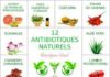 Medical infographic : 12 Antibiotiques Naturels: l'Extrait de Pépins de Pamplemousse (EPP), l'…