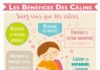 Medical infographic : Infographie : Les Bénéfices des Câlins