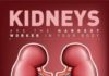 Medical infographic : Medical infographic : 8 Common Habits That May Damage Kidneys