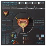 Medical infographic : Medical infographic : Bladder And Urine Medical Infographic