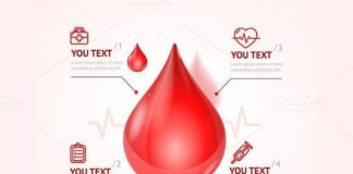 Medical infographic : Medical infographic : Blood Donation Concept. Vector. Medical Infographic. $5.00
