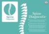 Medical infographic : Medical infographic : Human spine. Logo element. Medical Infographic