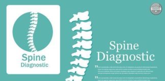Medical infographic : Medical infographic : Human spine. Logo element. Medical Infographic