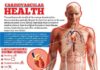 Medical infographic : Medical infographic : Medical infographic Cardiovascular Health Infographic Description Cardio