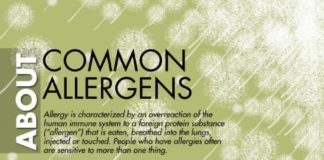 Medical infographic : Medical infographic : Medical infographic : Common #Allergens Infographic.