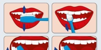 Medical infographic : Medical infographic : Medical infographic : Correct tooth brushing. Medical Infographic. $3.00