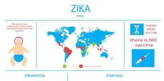Medical infographic : Medical infographic : Medical infographic Zika virus infographics. Travel Infographics. $10.00 In