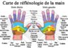 Medical infographic : Medical infographic Réflexologie: Massez vos MAINS pour soulager vos MAUX……