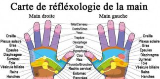 Medical infographic : Medical infographic Réflexologie: Massez vos MAINS pour soulager vos MAUX……