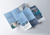Medical infographic : Medicine Tri-fold Brochure HPA. Medical Infographic