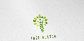 Medical infographic : Tree Doctor Arborist Logo. Logo Templates