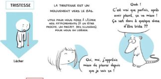 Psychology : Extrait 3 : Les 4 directions des émotions