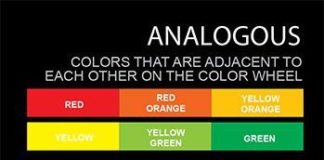 Psychology : Psychology : Explanation of Complementary, Analogous, Triadic and Split Complementary Colors …