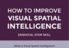 Psychology : Psychology infographic and charts 12 Easy Activities To Boost Kids’ Visual Spatial Intelligence [Infographic Infographic Description How To Improve Visual Spatial Intelligence Infographic