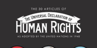 Psychology : Psychology infographic and charts Understanding Our Basic Human Rights Infog…