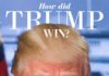 Psychology : This is How Trump Actually Won The Elections! – Infographic