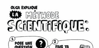 Science infographic – Dessins à colorier | Elise Gravel